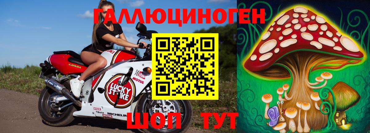 Галлюциногенные грибы Cubensis Мичуринск