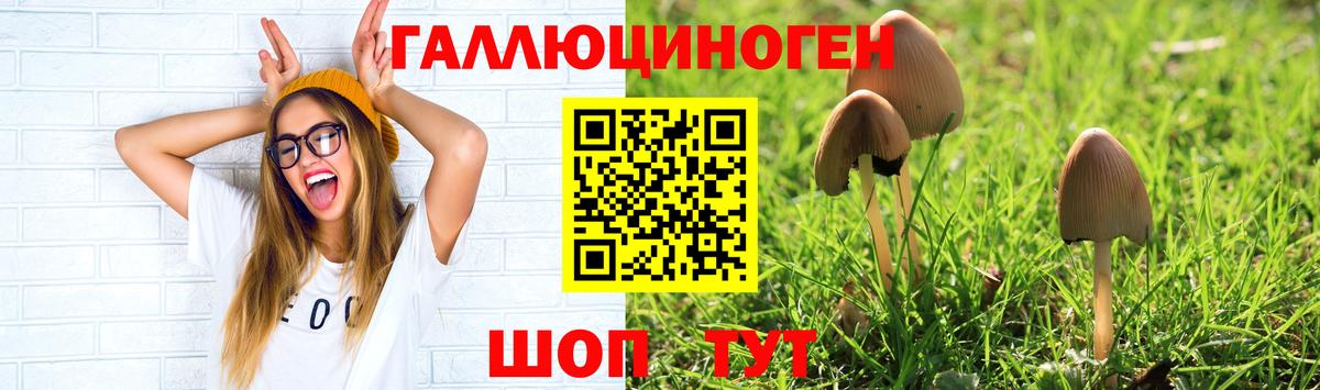 Галлюциногенные грибы мухоморы  Вход с VPN  Псилоцибиновые грибы мухоморы  Мичуринск 